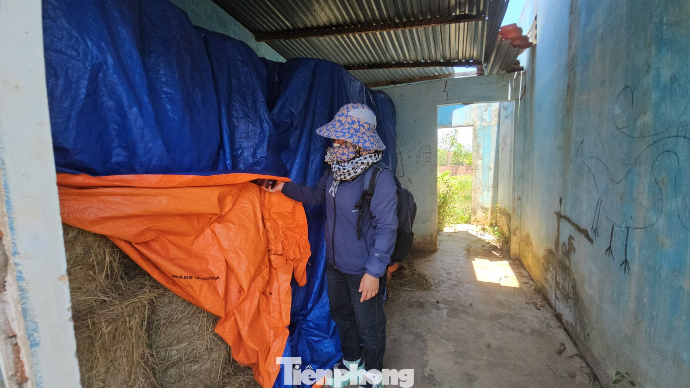 Căn nhà bị biến thành nơi để rơm Căn nhà bị biến thành nơi để rơm