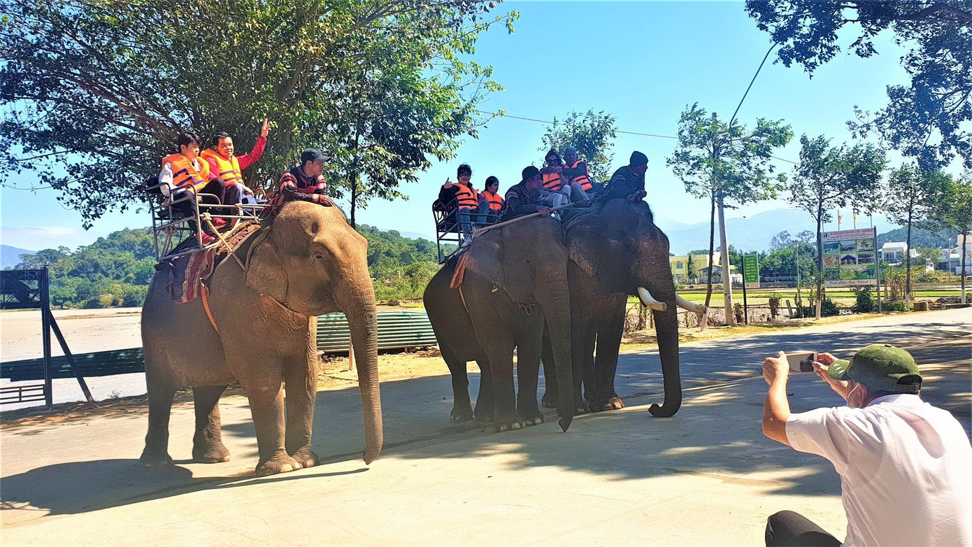 Voi tham gia chở khách tại huyện Lắk