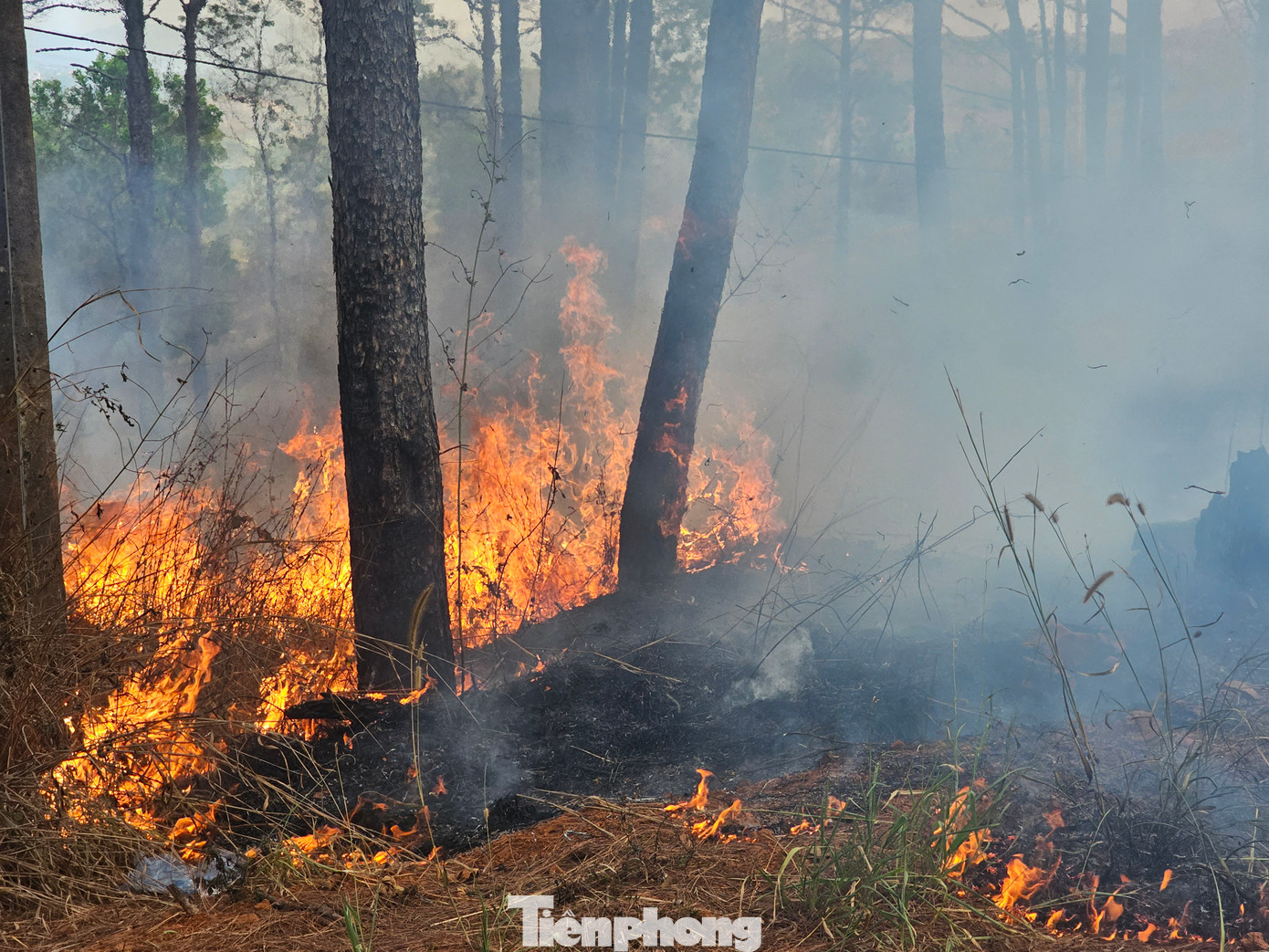 Hiện trường vụ cháy ngày 22/2