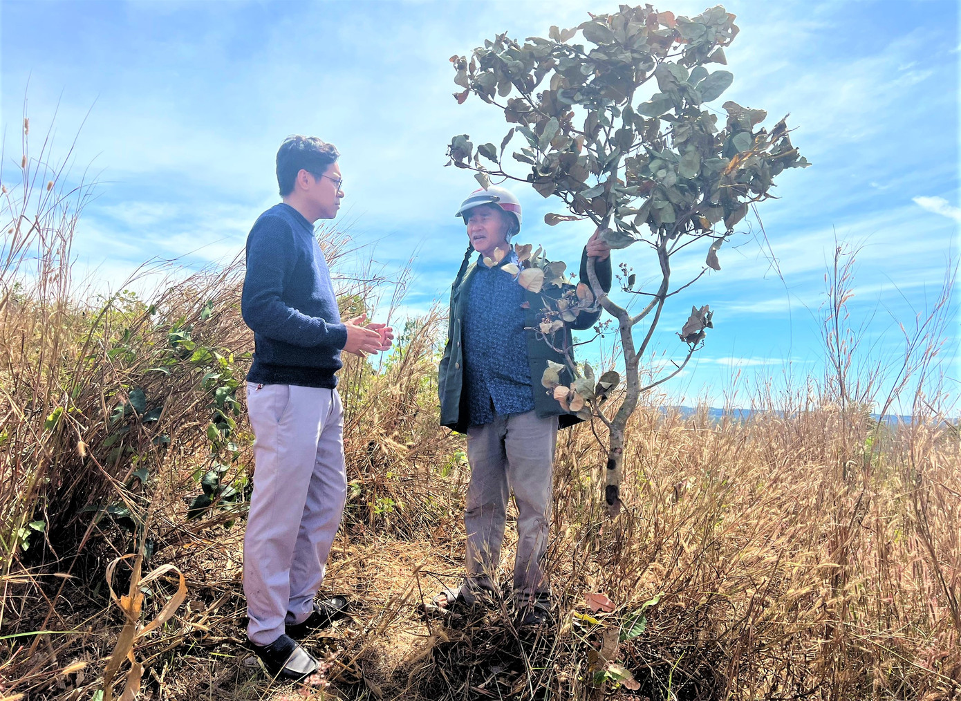 Ông Luận (phải) bên vườn cây bị phá hoại Ông Luận (phải) bên vườn cây bị phá hoại