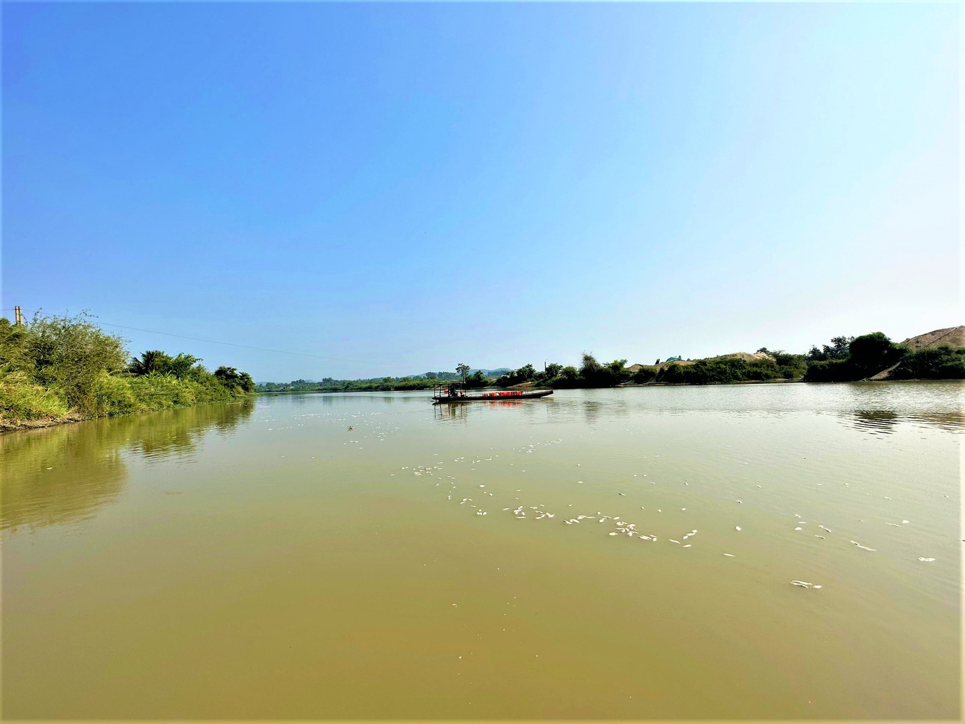 Cá chết trôi dạt trên sông Sêrêpốk