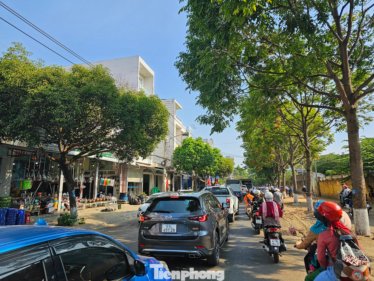 Cây xanh được trồng 2 bên đường TP Buôn Ma Thuột, Đắk Lắk