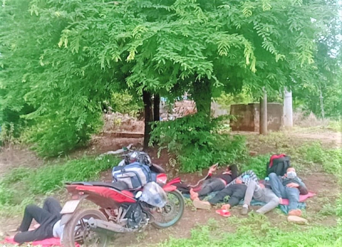 Nhóm thanh niên nằm dưới gốc cây lấy lại sức trước khi tiếp tục hành trình