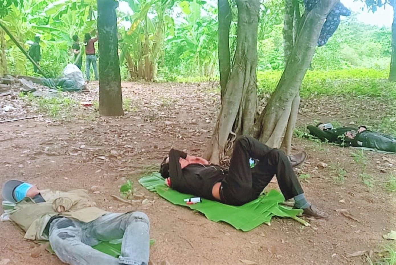 Lấy lá chuối lót dưới đất để ngủ