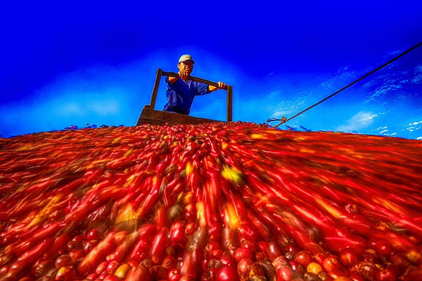 Mỹ là thị trường tiêu thụ cà phê lớn của Việt Nam. Ảnh: Duy Thành.