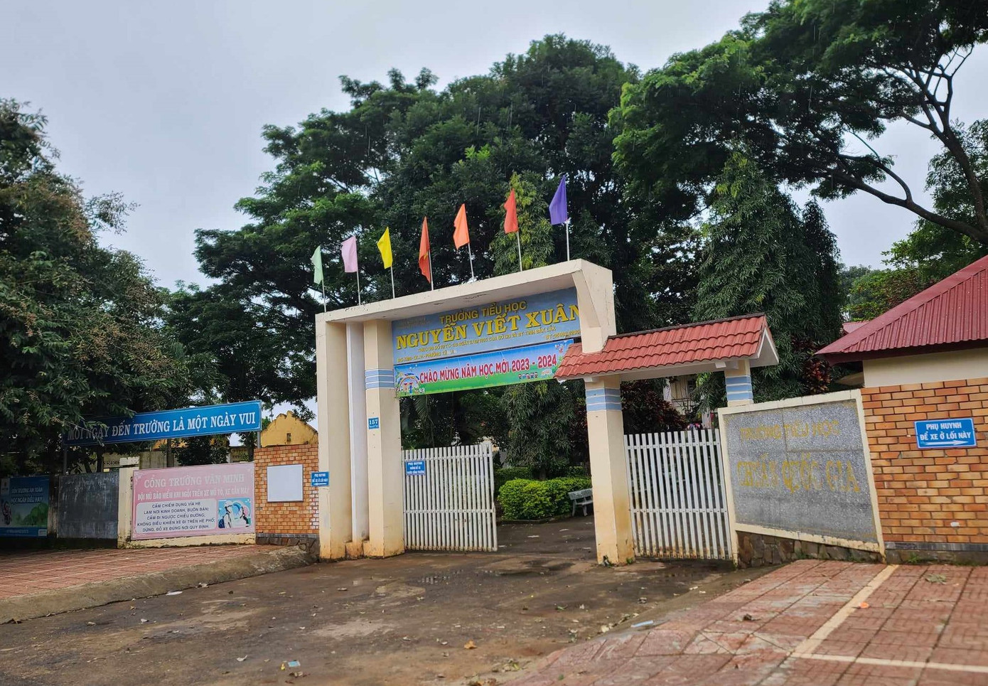 Trưởng Tiểu học Nguyễn Viết Xuân