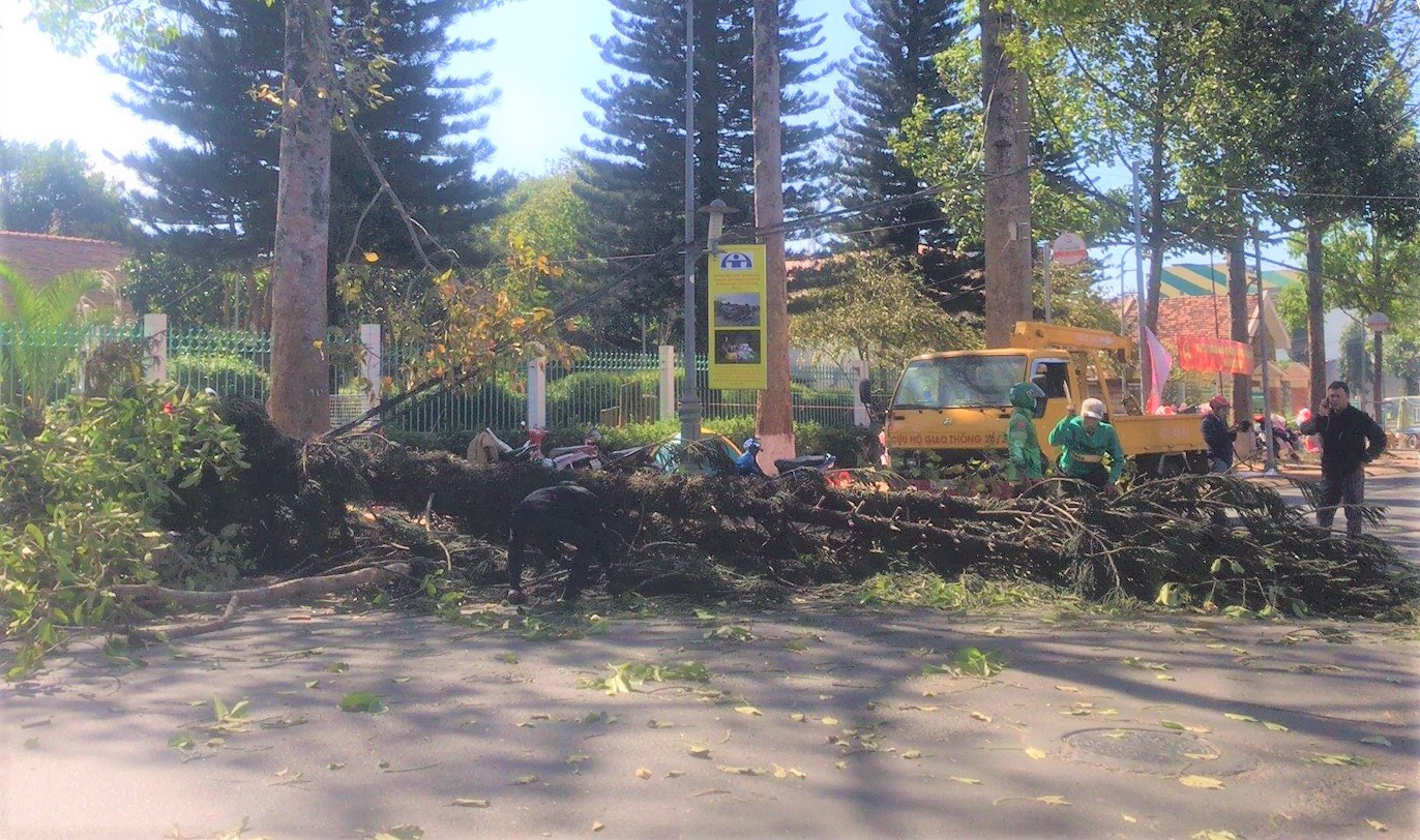 Hiện trường vụ việc