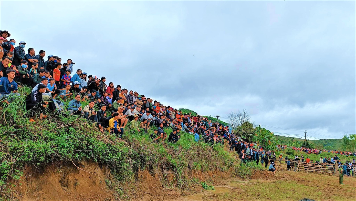 Rất đông người dân về xem chọi bò