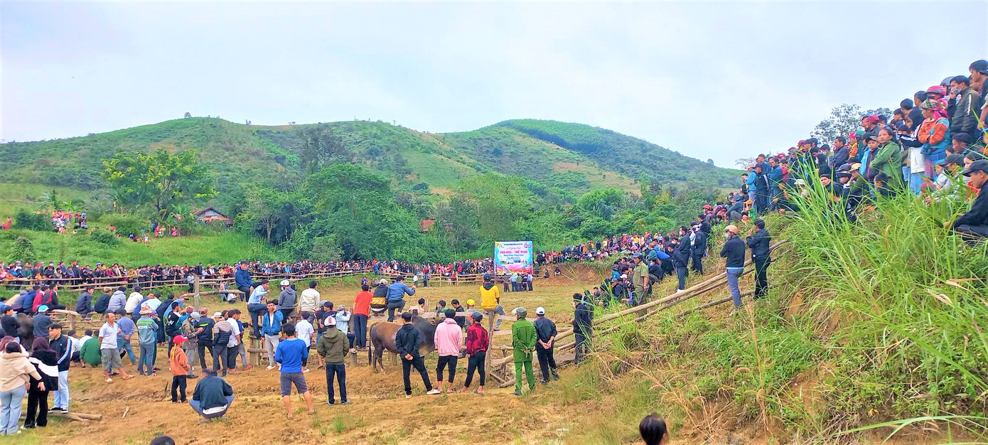 Người dân hò reo theo những trận thi đấu