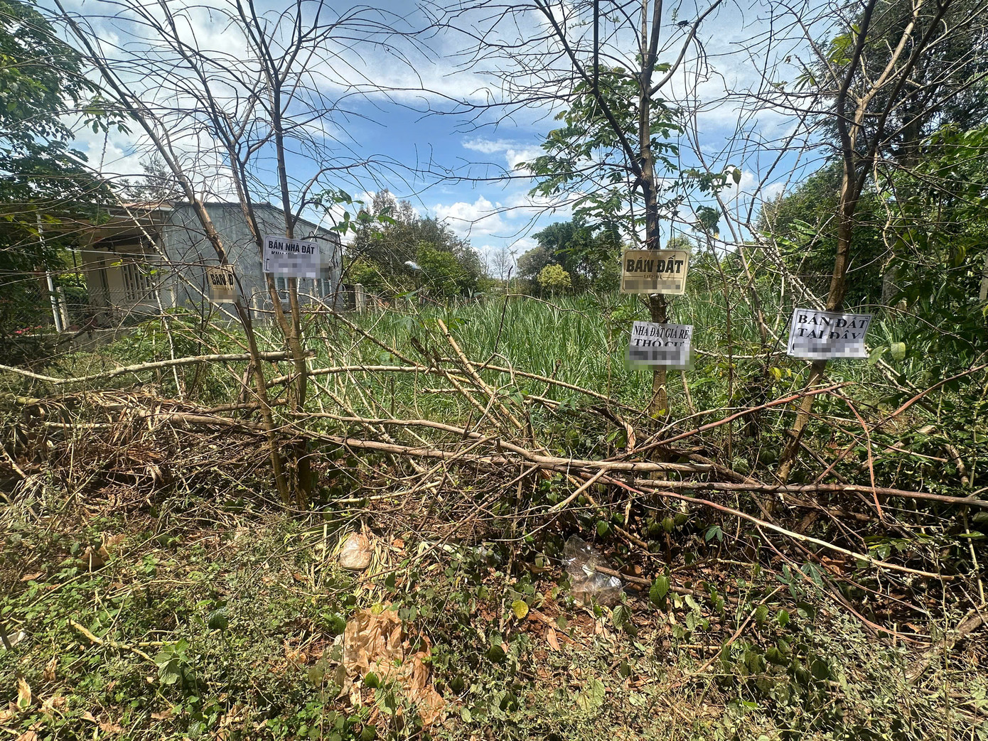 Các bảng rao bán đất xuất hiện dọc tuyến đường về xã Ea D'rơng, huyện Cư M'gar, Đắk Lắk.