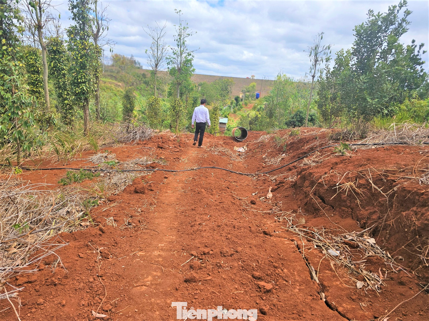 Đường dẫn nước của dự án nằm dưới lòng đất