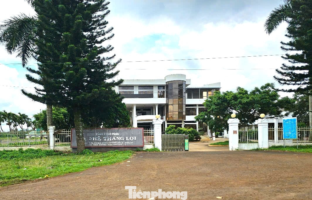 Trụ sở Cty CP cà phê Thắng Lợi. Trụ sở Cty CP cà phê Thắng Lợi.