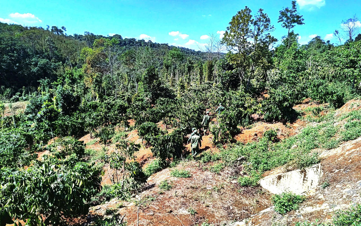 Cán bộ, chiến sĩ tổ chức tìm kiếm cháu bé bị đi lạc. Cán bộ, chiến sĩ tổ chức tìm kiếm cháu bé bị đi lạc.