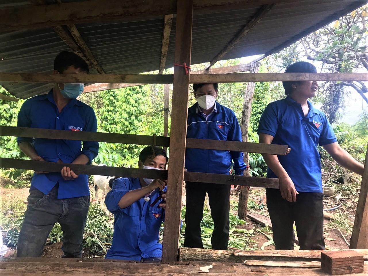 Đặc biệt, các cơ sở đoàn đã thành lập các đội hình thanh niên tình nguyện phối hợp các hội, đoàn thể tại địa phương hỗ trợ người dân tại các vùng dịch, người dân bị cách ly thu hái cà phê, hoa màu và chăm sóc gia súc, gia cầm để bà con yên tâm cách ly, điều trị góp phần hiệu quả trong công tác phòng, chống dịch tại địa phương. Đặc biệt, các cơ sở đoàn đã thành lập các đội hình thanh niên tình nguyện phối hợp các hội, đoàn thể tại địa phương hỗ trợ người dân tại các vùng dịch, người dân bị cách ly thu hái cà phê, hoa màu và chăm sóc gia súc, gia cầm để bà con yên tâm cách ly, điều trị góp phần hiệu quả trong công tác phòng, chống dịch tại địa phương.