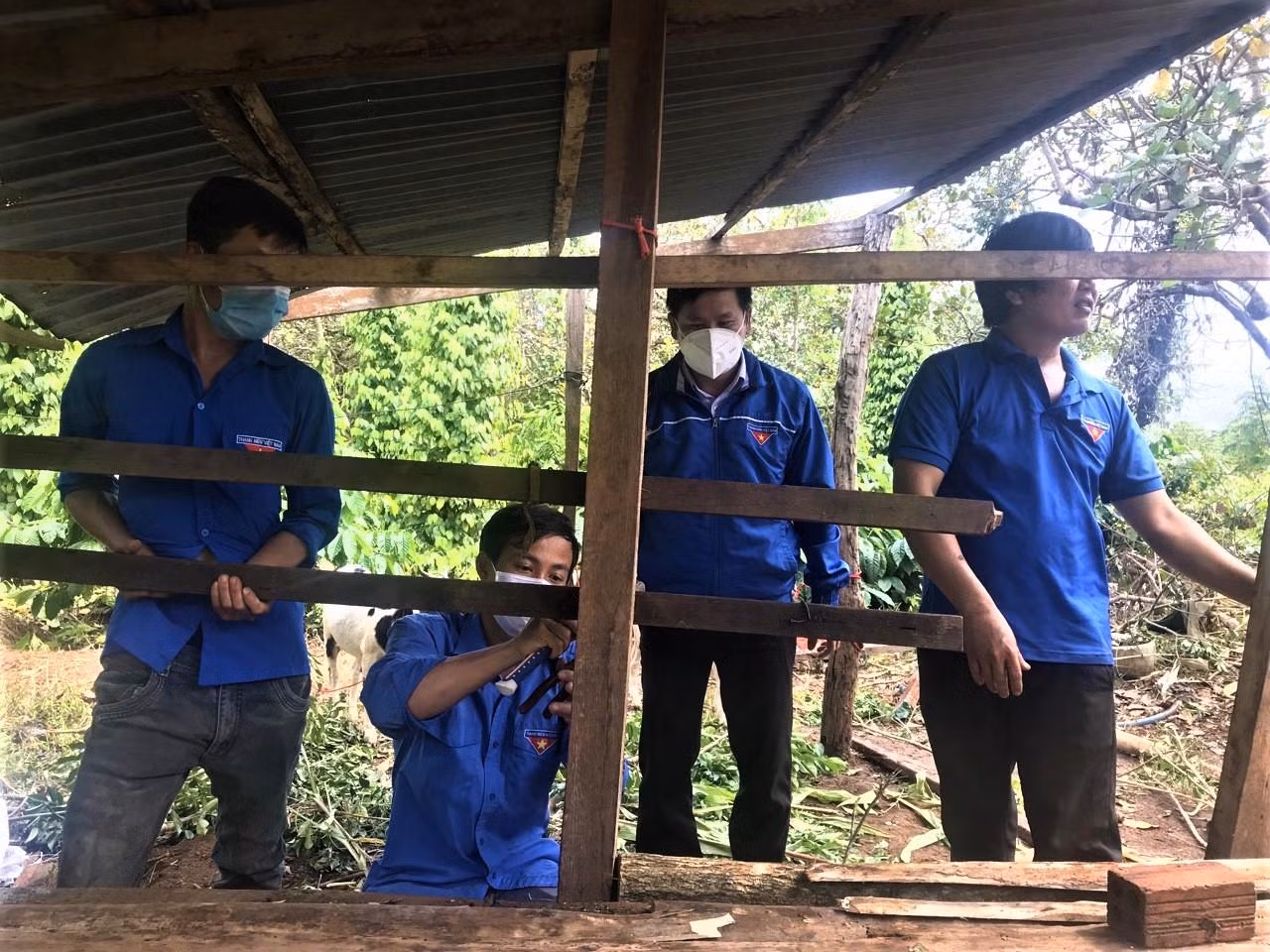 Đặc biệt, các cơ sở đoàn đã thành lập các đội hình thanh niên tình nguyện phối hợp các hội, đoàn thể tại địa phương hỗ trợ người dân tại các vùng dịch, người dân bị cách ly thu hái cà phê, hoa màu và chăm sóc gia súc, gia cầm để bà con yên tâm cách ly, điều trị góp phần hiệu quả trong công tác phòng, chống dịch tại địa phương. Đặc biệt, các cơ sở đoàn đã thành lập các đội hình thanh niên tình nguyện phối hợp các hội, đoàn thể tại địa phương hỗ trợ người dân tại các vùng dịch, người dân bị cách ly thu hái cà phê, hoa màu và chăm sóc gia súc, gia cầm để bà con yên tâm cách ly, điều trị góp phần hiệu quả trong công tác phòng, chống dịch tại địa phương.