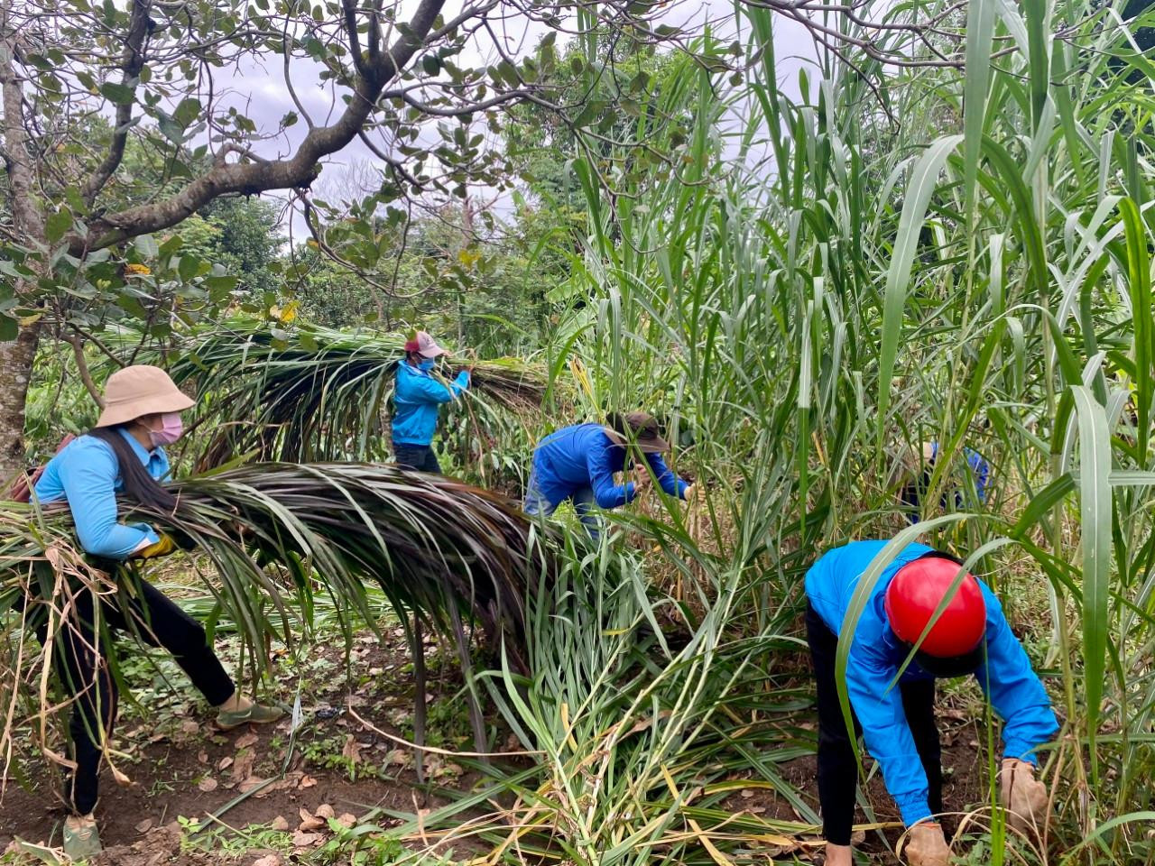 Những ngày qua, đông đảo đoàn viên thanh niên tại các buôn làng trên địa bàn huyện Cư M’gar đã tham gia nhiều hoạt động tình nguyện phòng chống dịch COVID-19 như: Tổ chức các hoạt động tuyên truyền, vận động người dân nâng cao công tác phòng, chống dịch bệnh; thực hiện tốt thông điệp 5K. Tại khu vực có đồng bào dân tộc thiểu số, các tình nguyện viên chủ động tuyên truyền bằng hai thứ tiếng qua loa di động, hệ thống truyền thanh, tờ rơi… Những ngày qua, đông đảo đoàn viên thanh niên tại các buôn làng trên địa bàn huyện Cư M’gar đã tham gia nhiều hoạt động tình nguyện phòng chống dịch COVID-19 như: Tổ chức các hoạt động tuyên truyền, vận động người dân nâng cao công tác phòng, chống dịch bệnh; thực hiện tốt thông điệp 5K. Tại khu vực có đồng bào dân tộc thiểu số, các tình nguyện viên chủ động tuyên truyền bằng hai thứ tiếng qua loa di động, hệ thống truyền thanh, tờ rơi…