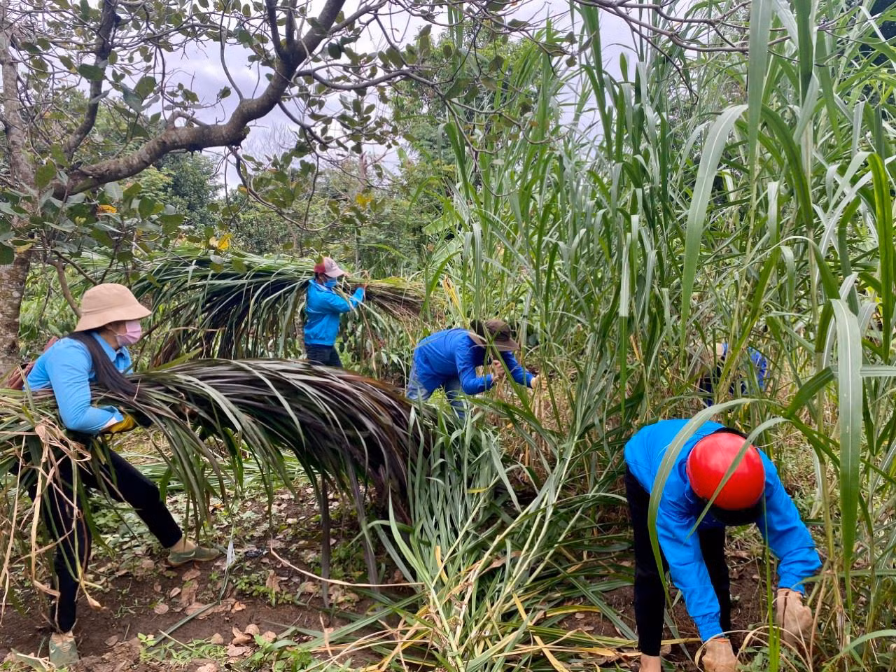 Những ngày qua, đông đảo đoàn viên thanh niên tại các buôn làng trên địa bàn huyện Cư M’gar đã tham gia nhiều hoạt động tình nguyện phòng chống dịch COVID-19 như: Tổ chức các hoạt động tuyên truyền, vận động người dân nâng cao công tác phòng, chống dịch bệnh; thực hiện tốt thông điệp 5K. Tại khu vực có đồng bào dân tộc thiểu số, các tình nguyện viên chủ động tuyên truyền bằng hai thứ tiếng qua loa di động, hệ thống truyền thanh, tờ rơi… Những ngày qua, đông đảo đoàn viên thanh niên tại các buôn làng trên địa bàn huyện Cư M’gar đã tham gia nhiều hoạt động tình nguyện phòng chống dịch COVID-19 như: Tổ chức các hoạt động tuyên truyền, vận động người dân nâng cao công tác phòng, chống dịch bệnh; thực hiện tốt thông điệp 5K. Tại khu vực có đồng bào dân tộc thiểu số, các tình nguyện viên chủ động tuyên truyền bằng hai thứ tiếng qua loa di động, hệ thống truyền thanh, tờ rơi…
