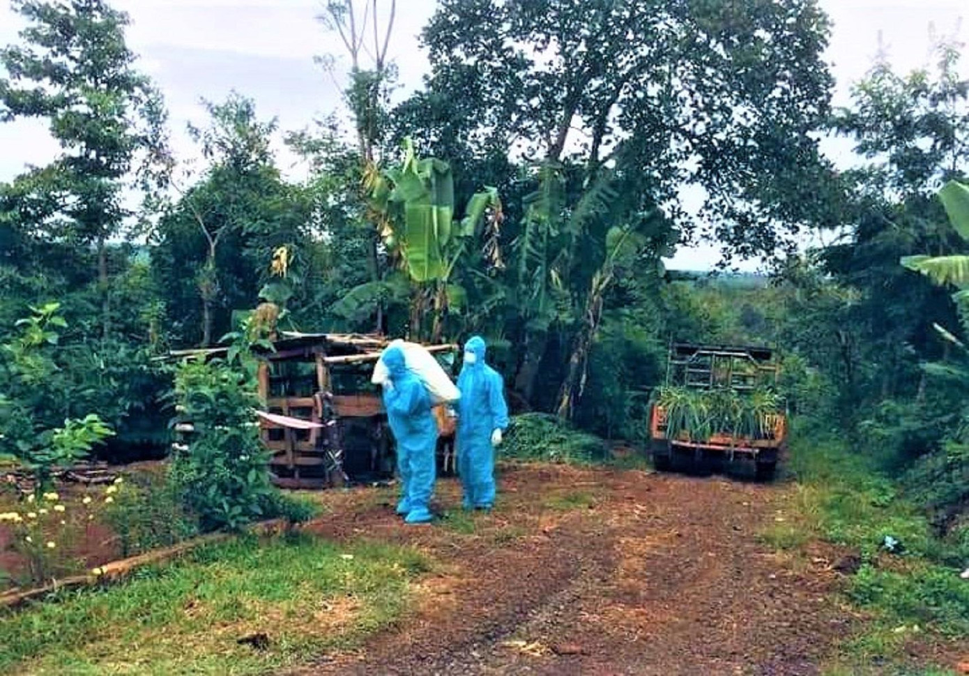 Các hoạt động đoàn thanh niên dự kiến triển khai như: Che chắn nhà cửa, sửa chữa thiết bị điện, quyên góp chăn ấm, quần áo ấm, lương thực, thực phẩm hỗ trợ trẻ em và người có hoàn cảnh khó khăn…; tổ chức dạy phụ đạo, dạy kèm, giao bài cho học sinh có hoàn cảnh khó khăn, học sinh vùng đồng bào dân tộc thiểu số. Các hoạt động đoàn thanh niên dự kiến triển khai như: Che chắn nhà cửa, sửa chữa thiết bị điện, quyên góp chăn ấm, quần áo ấm, lương thực, thực phẩm hỗ trợ trẻ em và người có hoàn cảnh khó khăn…; tổ chức dạy phụ đạo, dạy kèm, giao bài cho học sinh có hoàn cảnh khó khăn, học sinh vùng đồng bào dân tộc thiểu số.