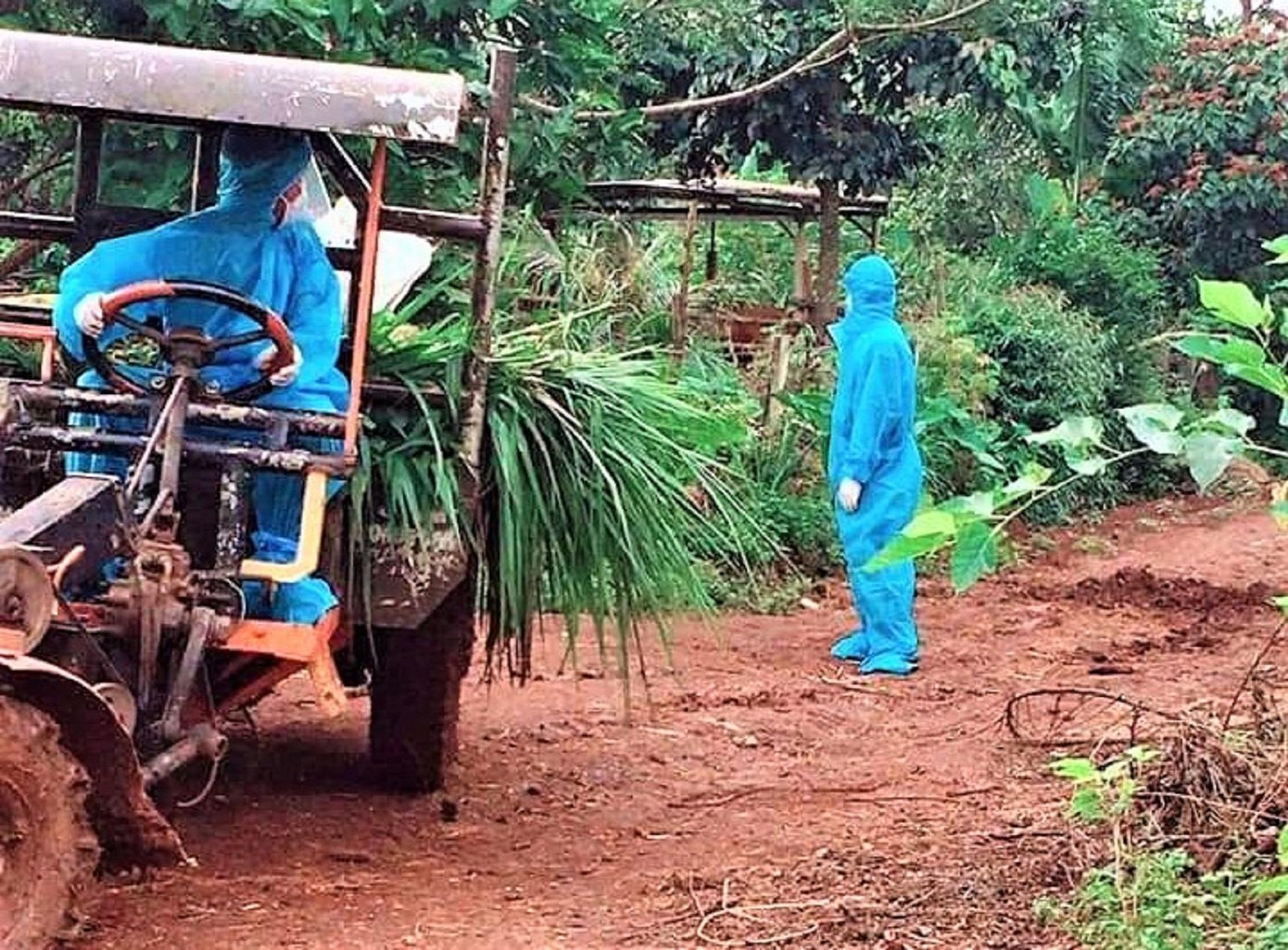 Các tổ chức đoàn cũng sẽ triển khai các chương trình khám bệnh, tư vấn sức khỏe, cấp phát thuốc miễn phí cho người dân và trẻ em; hướng dẫn các phương pháp sơ, cấp cứu cơ bản cho giáo viên và tư vấn định hướng cho cha mẹ học sinh tại các trường mầm non, tiểu học; phối hợp tổ chức các hoạt động hiến máu tình nguyện… Các tổ chức đoàn cũng sẽ triển khai các chương trình khám bệnh, tư vấn sức khỏe, cấp phát thuốc miễn phí cho người dân và trẻ em; hướng dẫn các phương pháp sơ, cấp cứu cơ bản cho giáo viên và tư vấn định hướng cho cha mẹ học sinh tại các trường mầm non, tiểu học; phối hợp tổ chức các hoạt động hiến máu tình nguyện…
