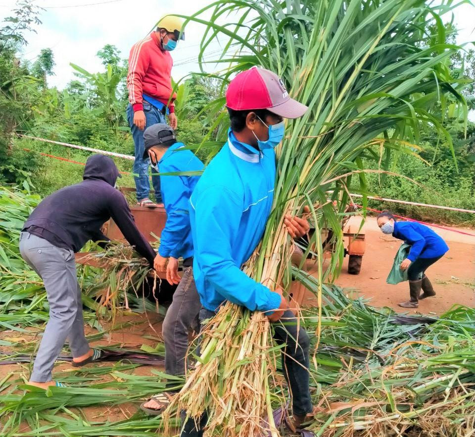 Tại mỗi địa phương, đoàn cơ sở triển khai các đội hình hỗ trợ ghi mẫu xét nghiệm, tiêm vắc xin phòng dịch COVID-19; hỗ trợ công tác truy vết, các khu cách ly, phong tỏa y tế…; tiếp tục kêu gọi các nguồn lực xã hội hỗ trợ phòng, chống dịch bệnh và công tác an sinh xã hội tại địa phương, đơn vị bằng hành động, việc làm cụ thể như: Huy động khẩu trang, kính chống giọt bắn, đồ bảo hộ, bình oxy, nhu yếu phẩm hỗ trợ người dân khó khăn và tuyến đầu chống dịch. Tại mỗi địa phương, đoàn cơ sở triển khai các đội hình hỗ trợ ghi mẫu xét nghiệm, tiêm vắc xin phòng dịch COVID-19; hỗ trợ công tác truy vết, các khu cách ly, phong tỏa y tế…; tiếp tục kêu gọi các nguồn lực xã hội hỗ trợ phòng, chống dịch bệnh và công tác an sinh xã hội tại địa phương, đơn vị bằng hành động, việc làm cụ thể như: Huy động khẩu trang, kính chống giọt bắn, đồ bảo hộ, bình oxy, nhu yếu phẩm hỗ trợ người dân khó khăn và tuyến đầu chống dịch.