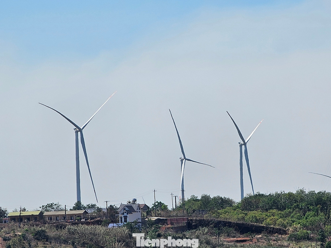 Hiện có 5 dự án điện gió chưa được triển khai. Hiện có 5 dự án điện gió chưa được triển khai.
