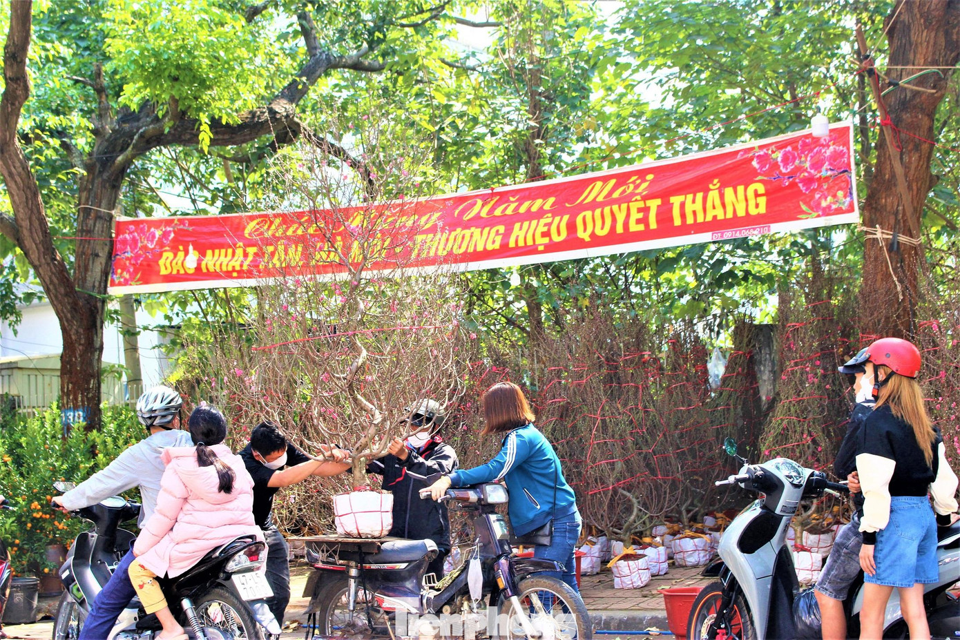 Khách ghé gian hàng bán đào Nhật tân