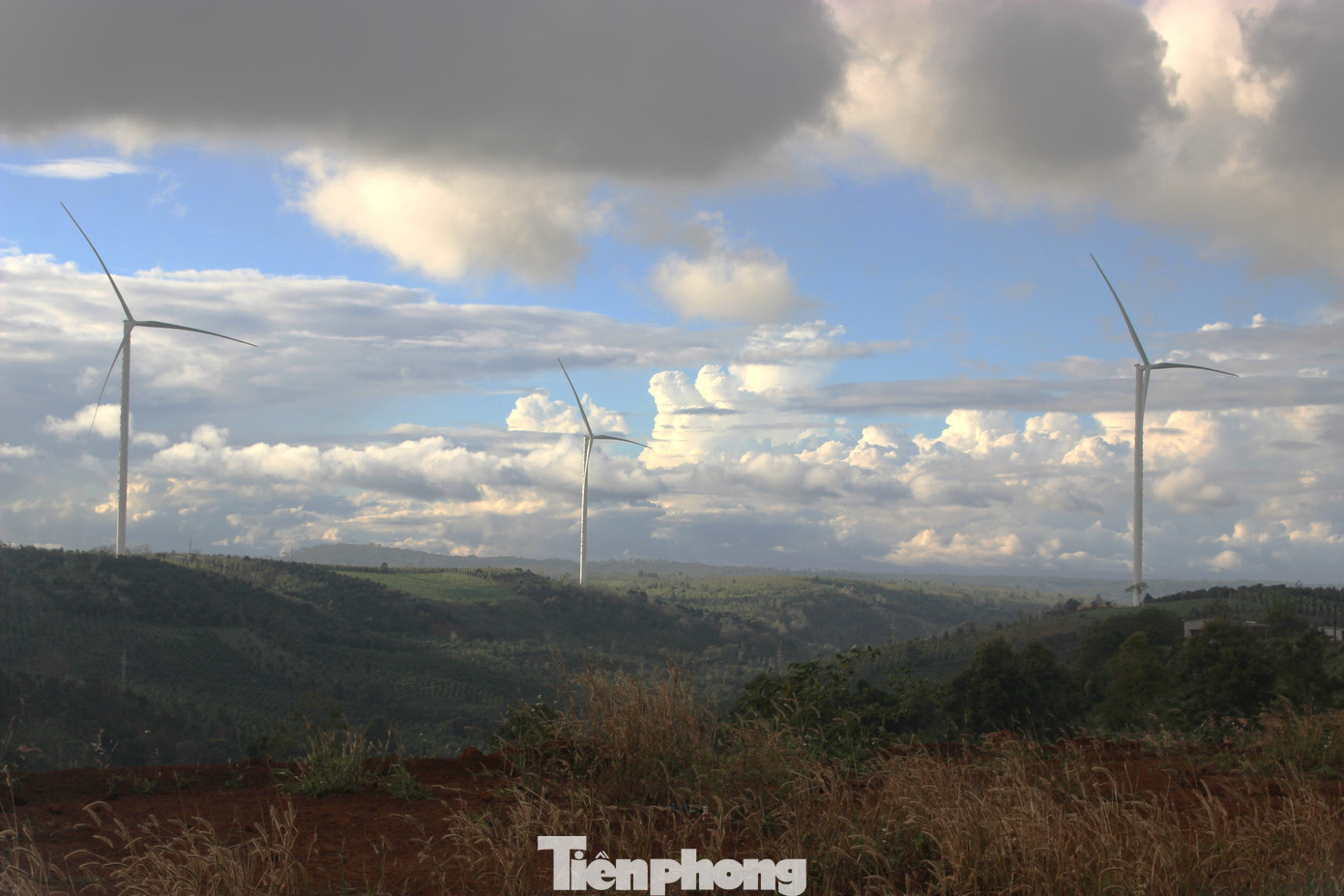 Nhiều dự án điện gió ở Đắk Nông bị Thanh tra Chính phủ chỉ ra nhiều sai phạm. Nhiều dự án điện gió ở Đắk Nông bị Thanh tra Chính phủ chỉ ra nhiều sai phạm.