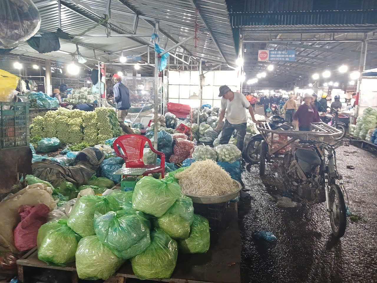 Giá đỗ được bán tại Chợ đầu mối Tân Hoà Giá đỗ được bán tại Chợ đầu mối Tân Hoà