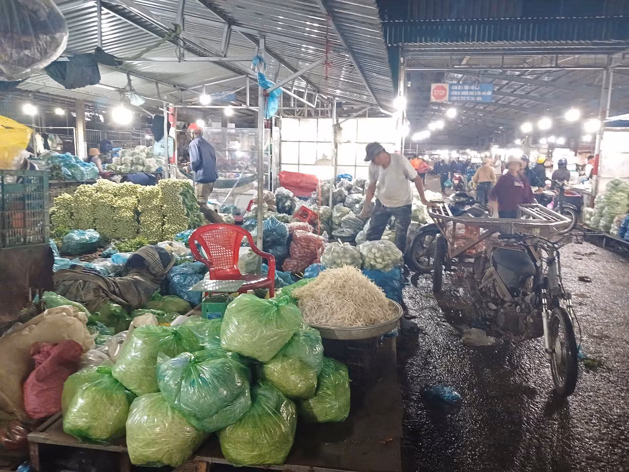 Giá đỗ được bán tại Chợ đầu mối Tân Hoà