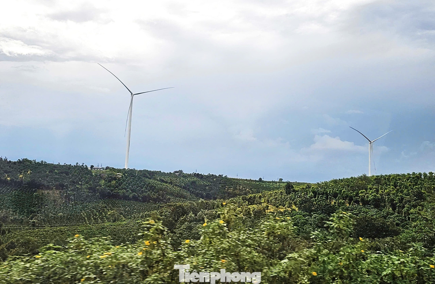 Đắk Nông đã quy định rõ tỷ lệ xây dựng công trình trên đất nông nghiệp