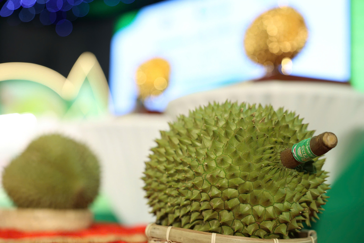 Sầu riêng trúng đấu giá.