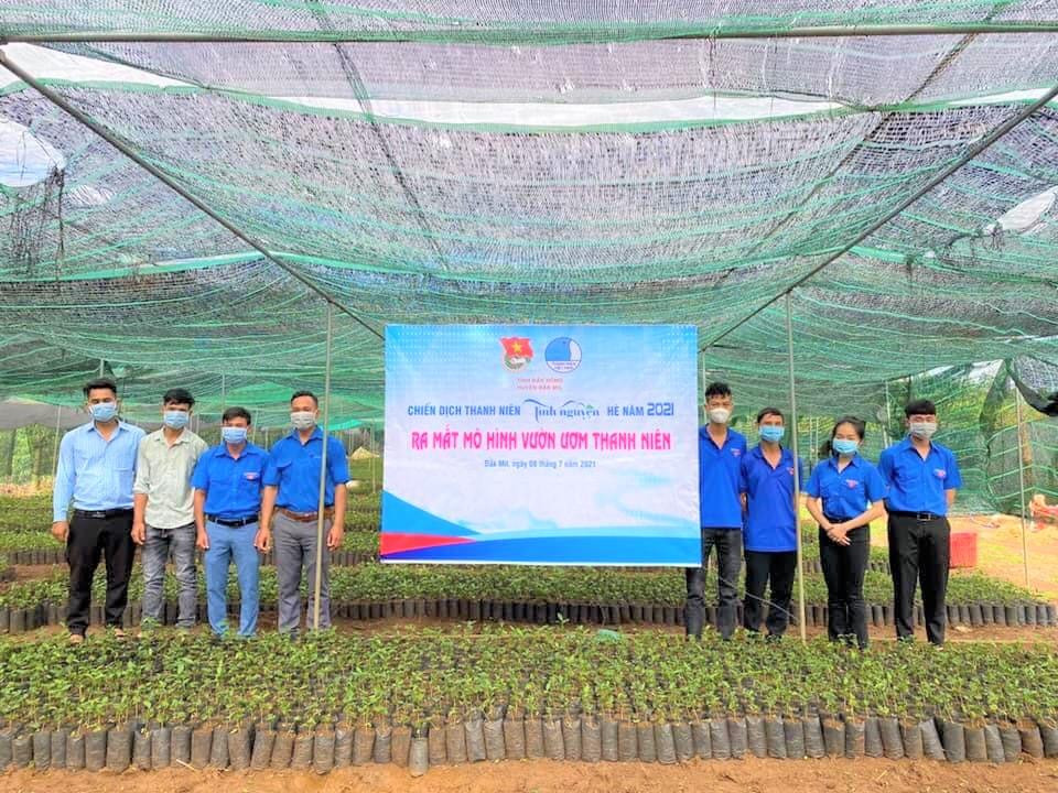 Mô hình vườn ươm thanh niên được triển khai tại huyện Đắk Mil Mô hình vườn ươm thanh niên được triển khai tại huyện Đắk Mil