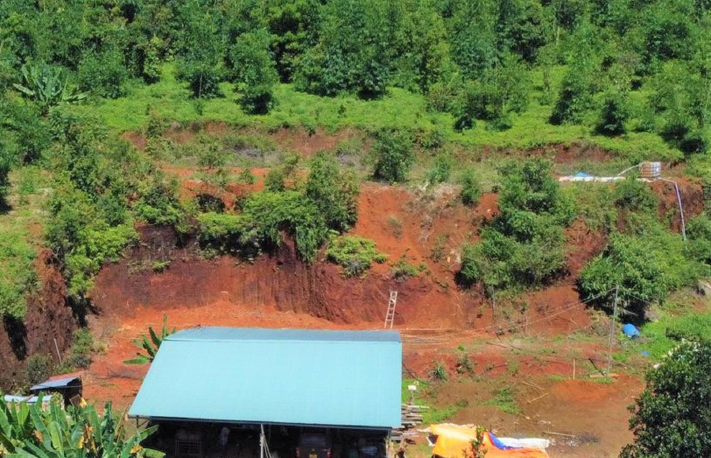 Phần đất quy hoạch 3 loại rừng được lãnh đạo ký cấp "sổ đỏ" sai quy định