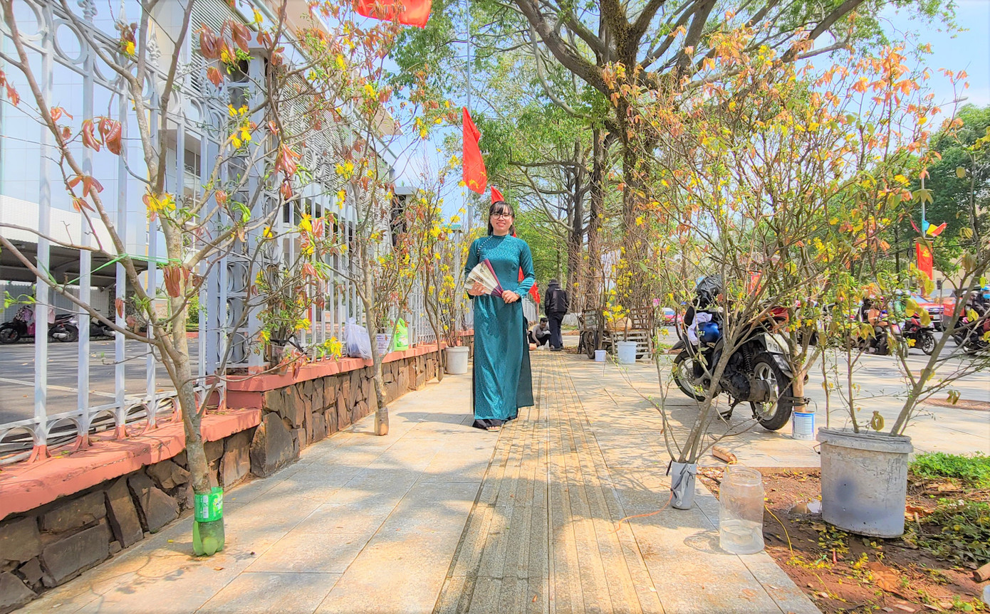 Mai rừng có sức hút riêng.