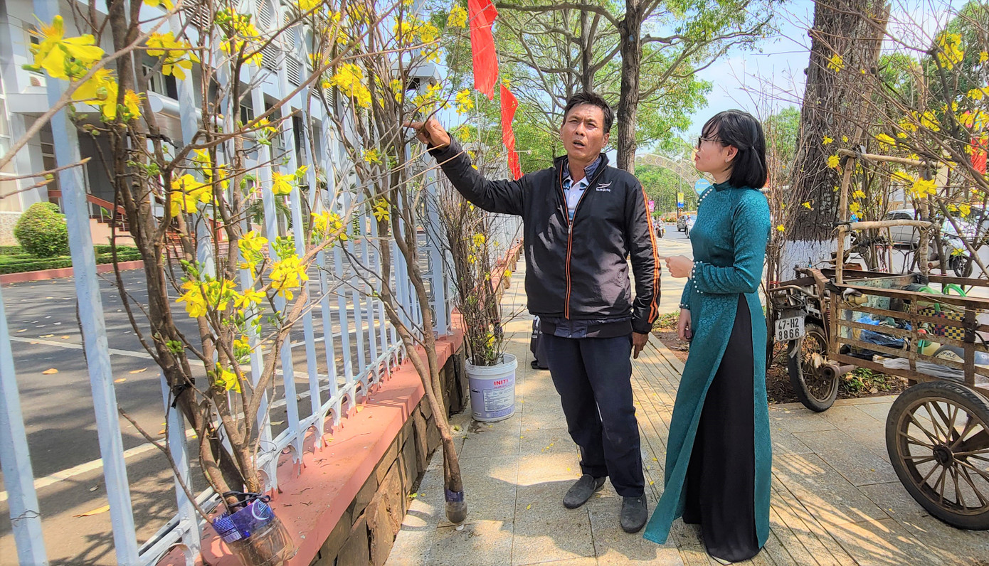 Ông Trần Ngọc Tùng chia sẻ về hành trình tầm nã mai rừng.