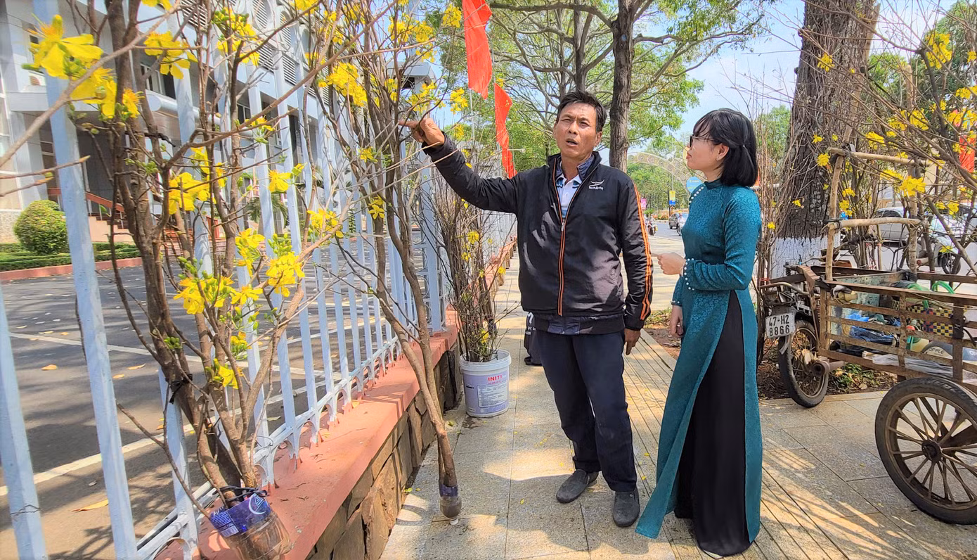 Ông Trần Ngọc Tùng chia sẻ về hành trình tầm nã mai rừng.