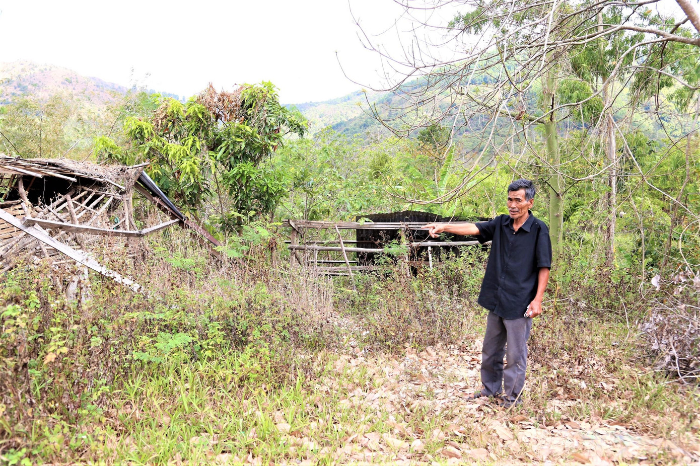 Ông Xuân bên khu vườn bỏ hoang sau khi bàn giao đất và tài sản cho dự án Ông Xuân bên khu vườn bỏ hoang sau khi bàn giao đất và tài sản cho dự án