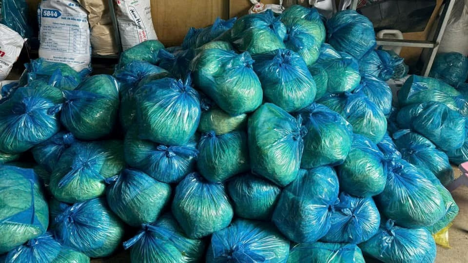 Số giá đỗ thành phẩm đã được ngâm chất cấm Số giá đỗ thành phẩm đã được ngâm chất cấm