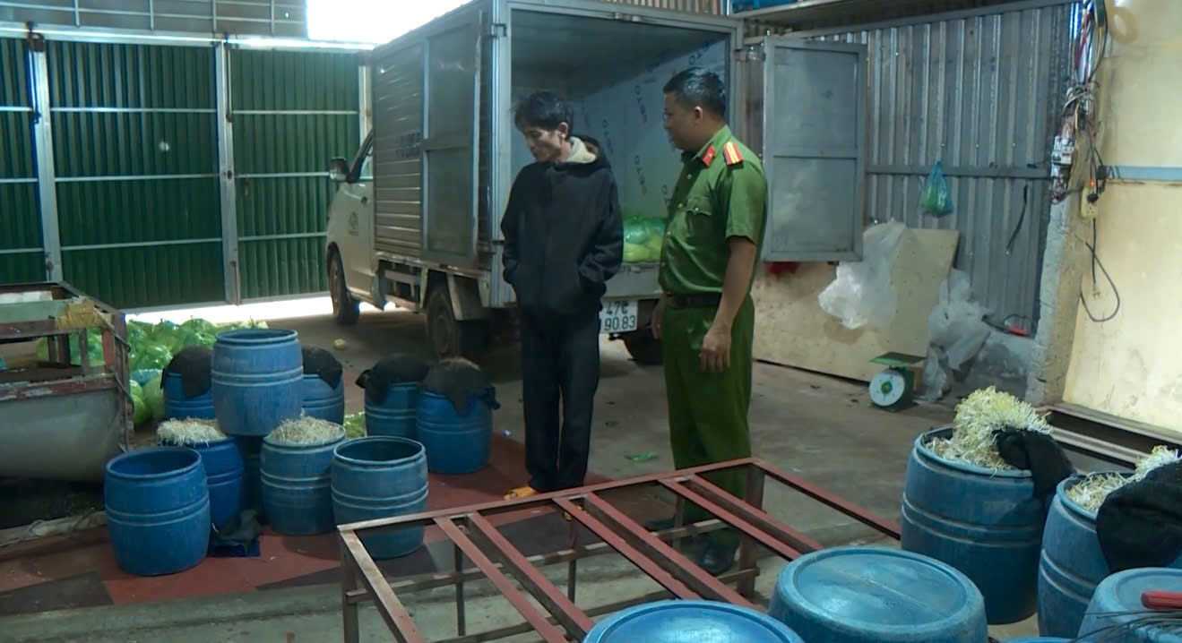 Giá đỗ làm bằng hoá chất Giá đỗ làm bằng hoá chất