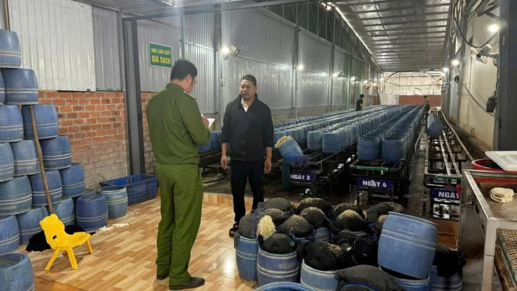 Giá đỗ đã bị ngâm chất cấm Giá đỗ đã bị ngâm chất cấm