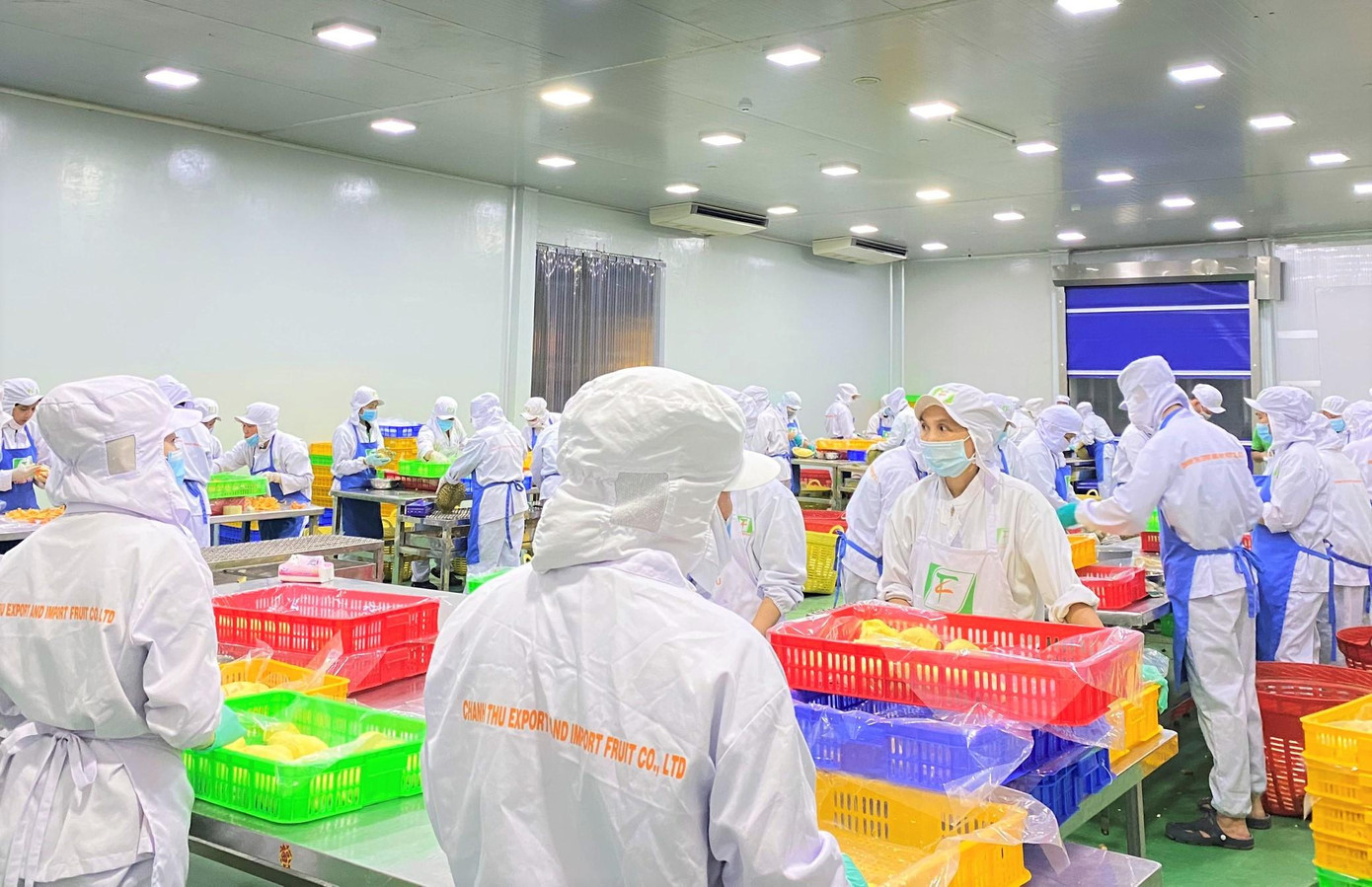 Nhiều doanh nghiệp Đắk Lắk, Đắk Nông công bố mức thưởng Tết năm 2022 Nhiều doanh nghiệp Đắk Lắk, Đắk Nông công bố mức thưởng Tết năm 2022