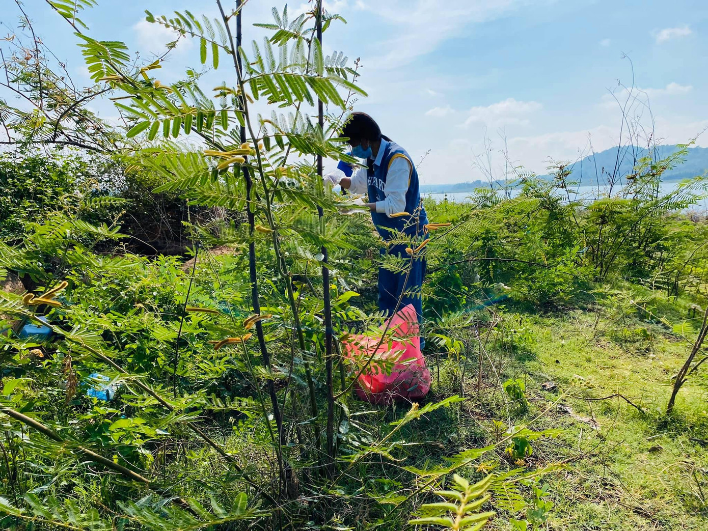 Một bạn trẻ lấy rác trong bụi rậm