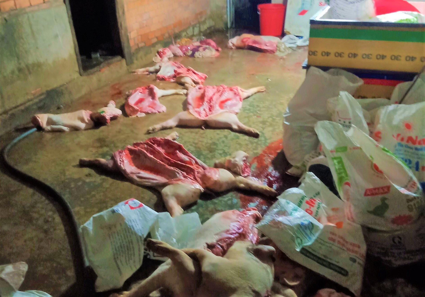 Nơi tập kết giết mổ heo rất nhếch nhác Nơi tập kết giết mổ heo rất nhếch nhác