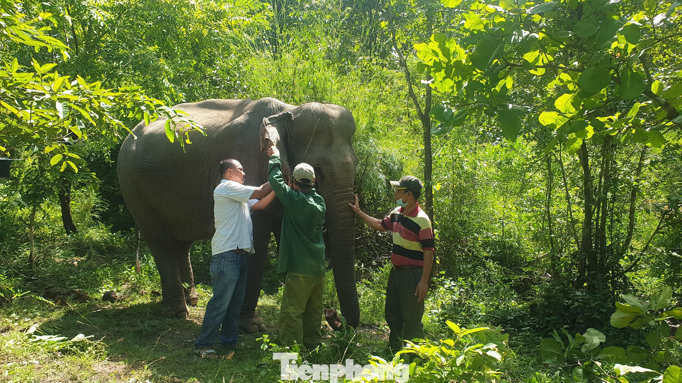 Lấy mẫu xét nghiệm kiểm tra sức khỏe Khăm Phanh