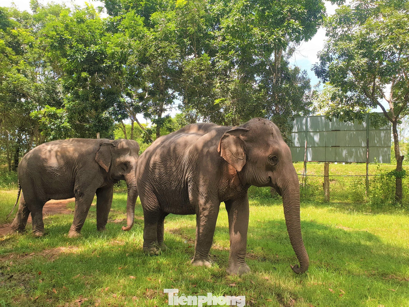 Từ nay, Khăm Phanh sẽ không còn đơn độc