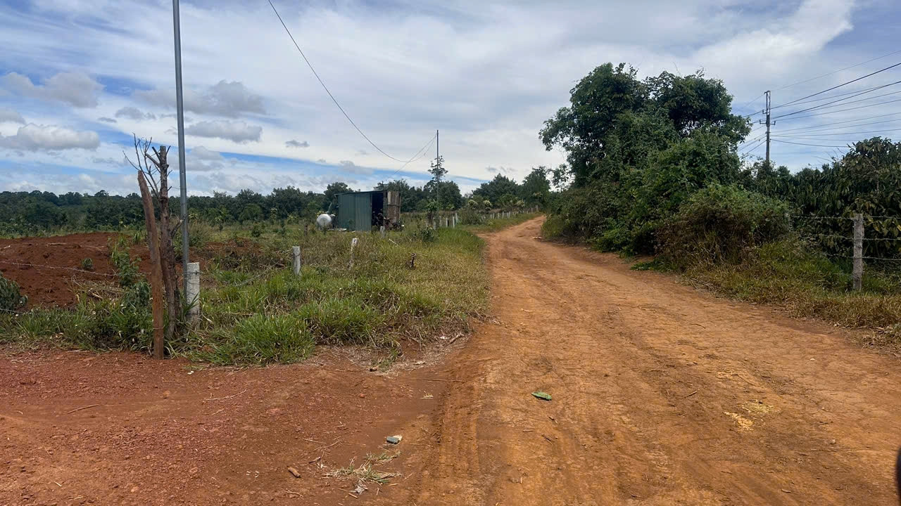 Gói thầu 01 làm đường giao thông vào vùng đặc biệt khó khăn Gói thầu 01 làm đường giao thông vào vùng đặc biệt khó khăn