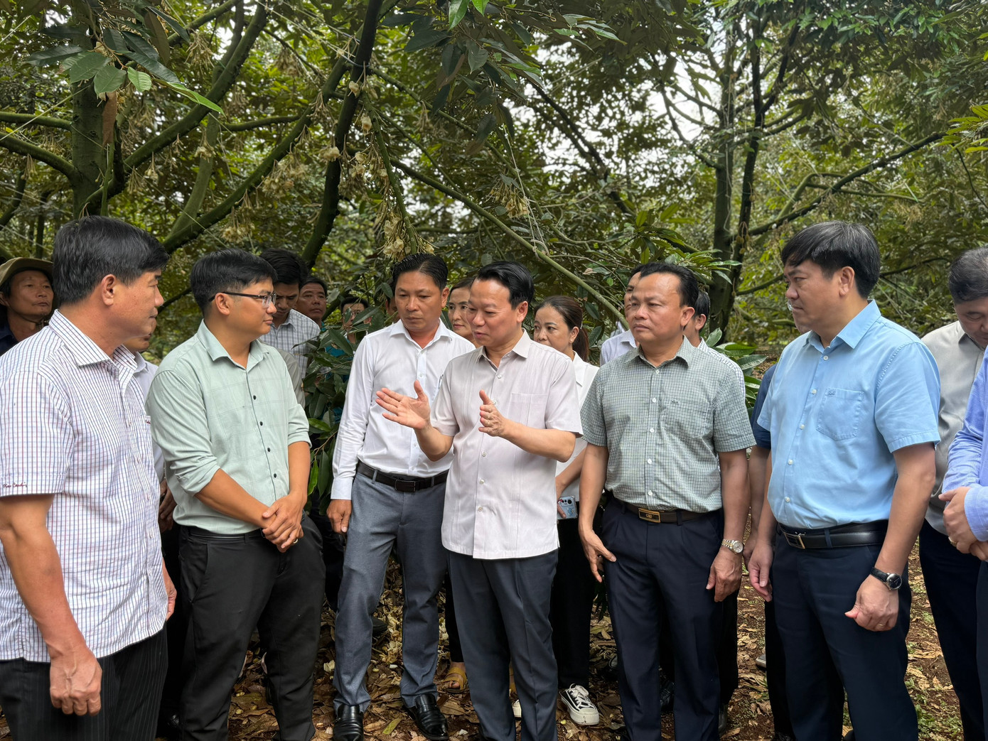 Bộ trưởng Bộ NN&amp;MT Đỗ Đức Duy (giữa) trao đổi thông tin khi đi thăm thực tế vùng trồng sầu riêng tại Đắk Lắk sáng 24/5.