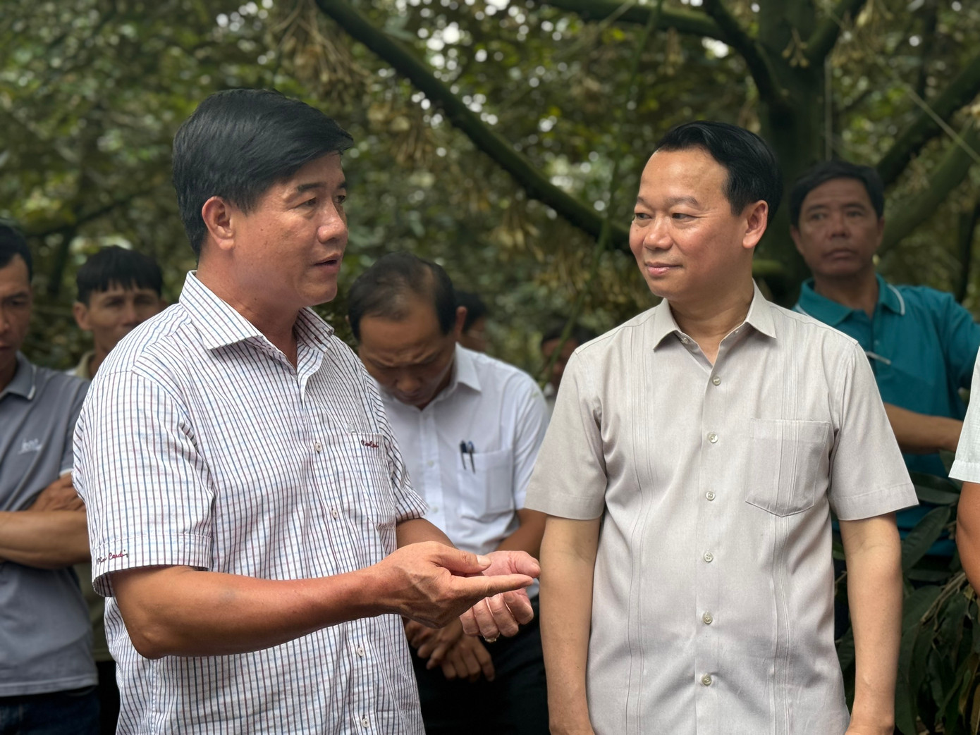 Quyền Chủ tịch UBND tỉnh Đắk Lắk Nguyễn Thiên Văn (bìa trái) chia sẻ thông tin với Bộ trưởng Bộ NN&amp;MT Đỗ Đức Duy khi đi thực tế tại vùng trồng sầu riêng vào sáng 24/5.