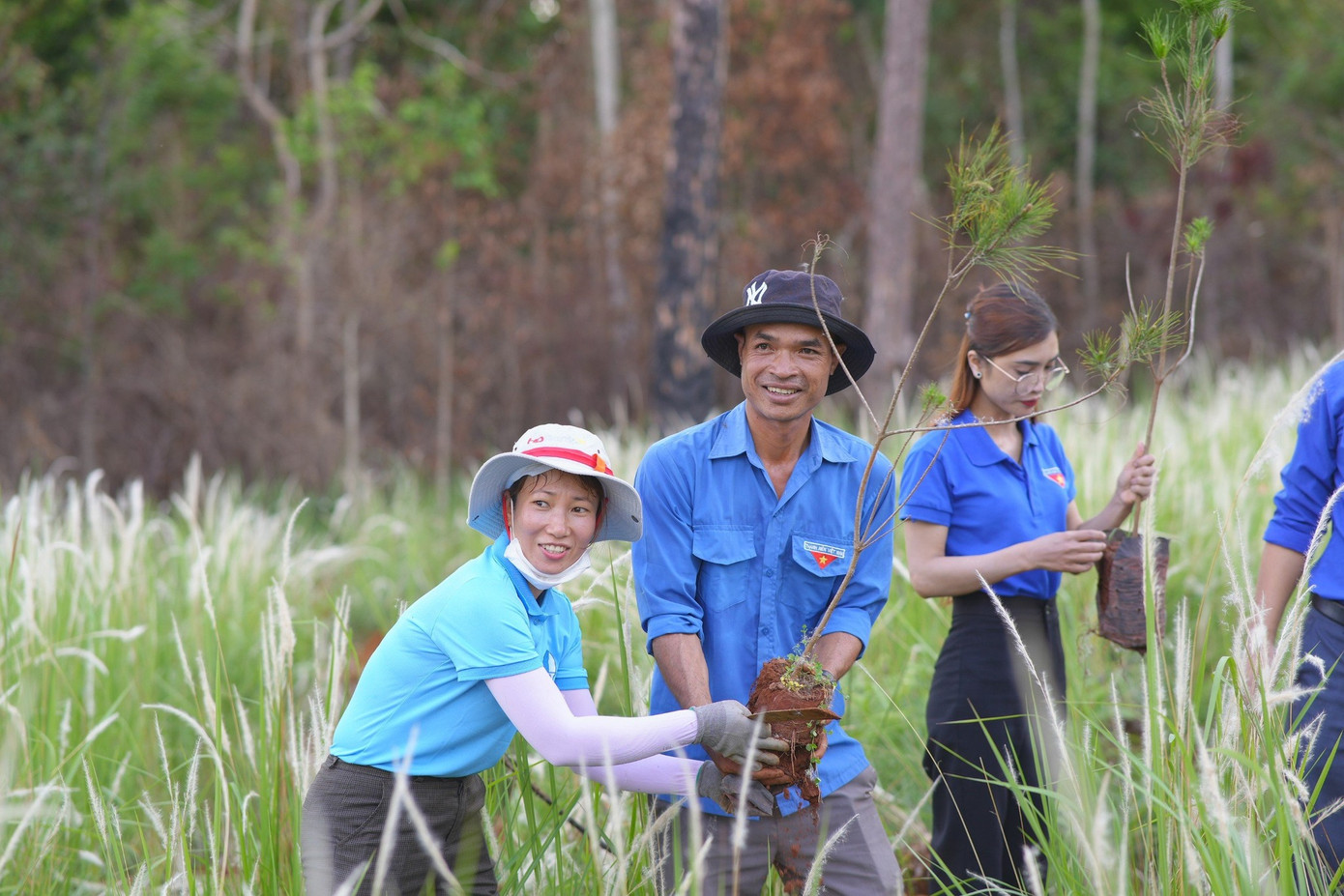 Chương trình trồng cây xanh Chương trình trồng cây xanh