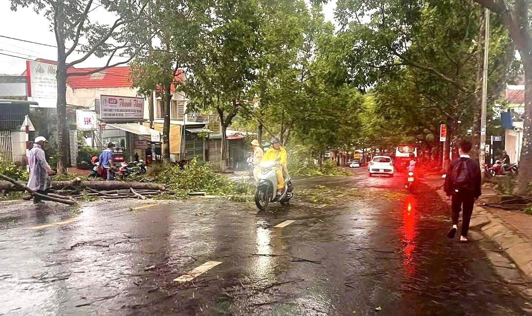 Cây xanh bị ngã đổ trên đường